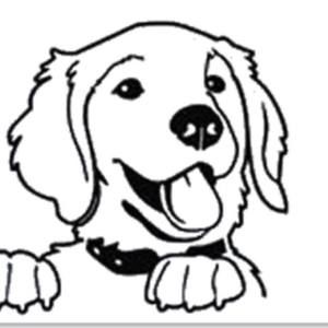 Meet your Posher, Sherri